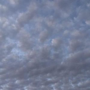 Meet your Posher, Bek